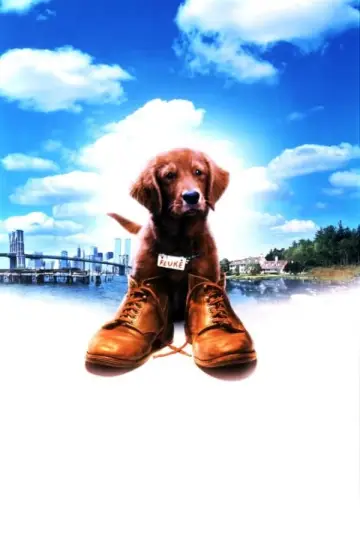 Plakat do filmu "Psim tropem do domu" #423486