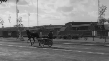Zasłona do filmu "Zaćmienie" #1384518