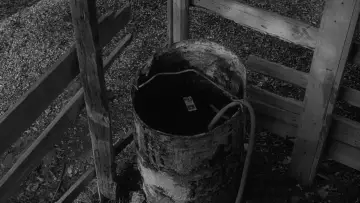 Zasłona do filmu "Zaćmienie" #1384521