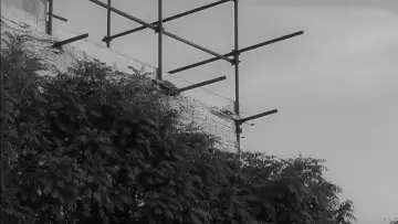Zasłona do filmu "Zaćmienie" #1384534