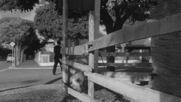 Zasłona do filmu "Zaćmienie" #1384541