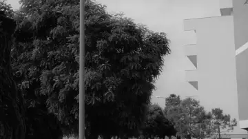 Zasłona do filmu "Zaćmienie" #1384558