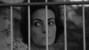 Zasłona do filmu "Zaćmienie" #1384576