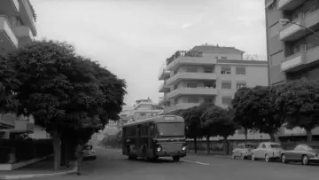 Zasłona do filmu "Zaćmienie" #1384583