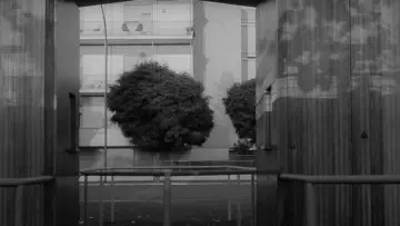 Zasłona do filmu "Zaćmienie" #1384590
