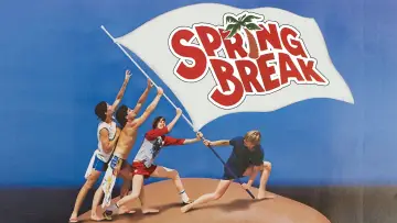 Zasłona do filmu "Draka na plaży" #741234