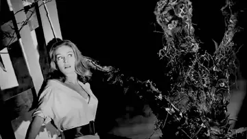 Zasłona do filmu "The Day of the Triffids" #450349