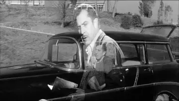 Zasłona do filmu "Ostatni człowiek na Ziemi" #997994