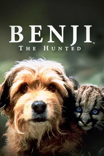 Gzie jest Benji?