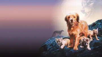 Zasłona do filmu "Gzie jest Benji?" #415124