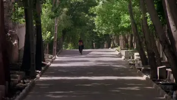 Zasłona do filmu "Dzieci niebios" #950652