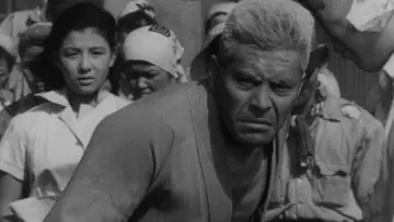 Zasłona do filmu "Żyję w strachu" #1093562