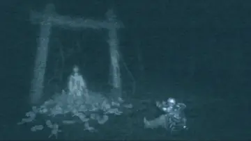 Zasłona do filmu "Przekleństwo" #892527