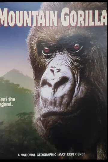 Plakat do filmu "Mountain Gorilla" #1640893