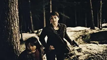 Zasłona do filmu "Kamienny krąg" #1858297