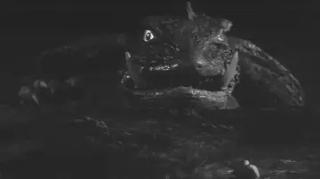 Zasłona do filmu "大怪獣ガメラ" #1203456