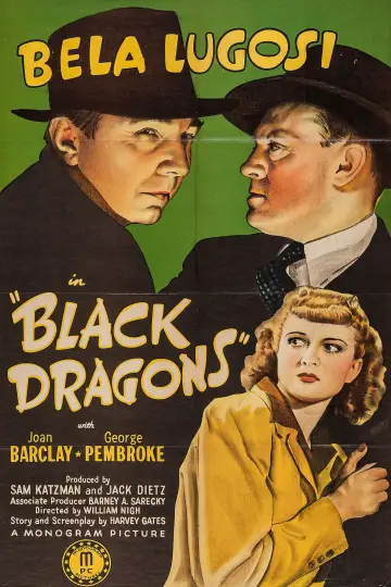 Plakat do filmu "Black Dragons" #694106