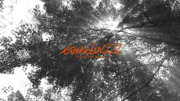 Zasłona do filmu "Evangelion: 2.22 (Nie) możesz iść naprzód." #186515