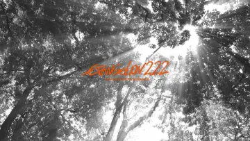 Zasłona do filmu "Evangelion: 2.22 (Nie) możesz iść naprzód." #186519