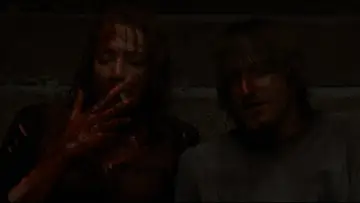Zasłona do filmu "Dom w głębi lasu" #1643554