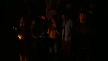 Zasłona do filmu "Dom w głębi lasu" #840860