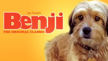Zasłona do filmu "Benji" #1117404