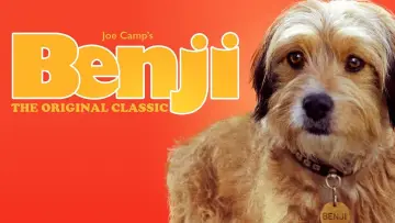 Zasłona do filmu "Benji" #1117405