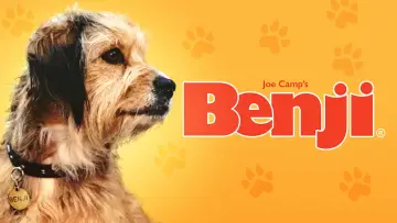 Zasłona do filmu "Benji" #1117406