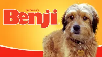 Zasłona do filmu "Benji" #1117408