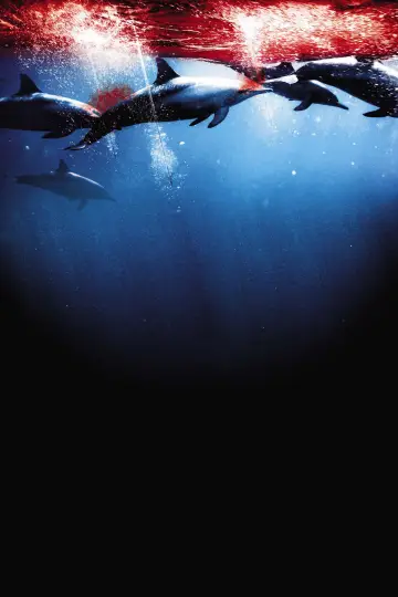 Plakat do filmu "Zatoka delfinów" #463138