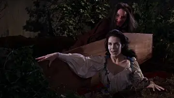 Zasłona do filmu "Narzeczona Draculi" #1048139