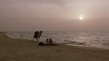 Zasłona do filmu "Paradise" #889100