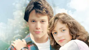 Zasłona do filmu "The Boy Who Could Fly" #967521