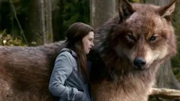 Zasłona do filmu "Saga „Zmierzch”: Zaćmienie" #1570581