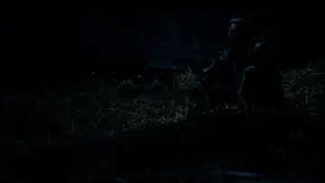 Zasłona do filmu "Halloween II" #1861767