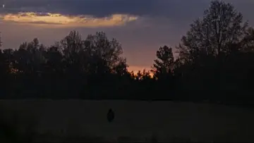 Zasłona do filmu "Halloween II" #1861769