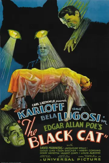 Plakat do filmu "Czarny Kot" #1095133