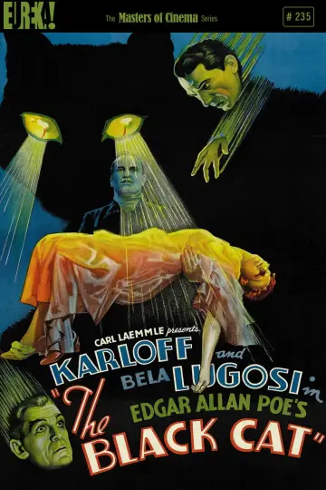 Plakat do filmu "Czarny Kot" #1095134