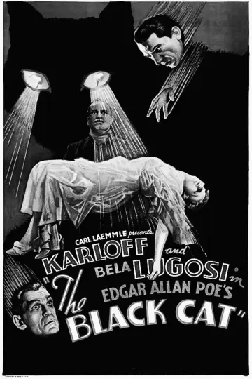 Plakat do filmu "Czarny Kot" #1095141