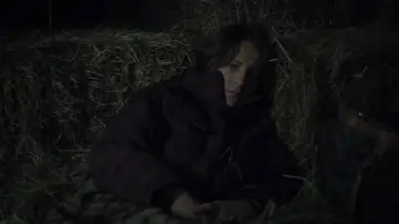 Zasłona do filmu "Czas wilka" #1088033