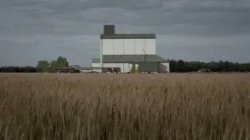 Zasłona do filmu "Czas wilka" #1088035