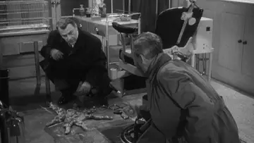 Zasłona do filmu "The Quatermass Xperiment" #413957