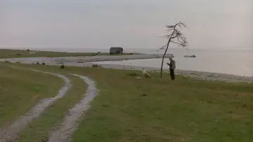 Zasłona do filmu "Ofiarowanie" #189149