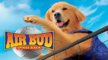 Zasłona do filmu "Siatkarz Buddy" #1114502