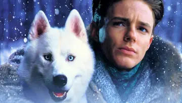 Zasłona do filmu "Żelazna wola" #424438