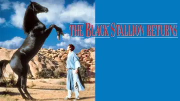 Zasłona do filmu "The Black Stallion Returns" #1126762