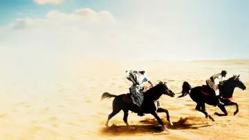 Zasłona do filmu "The Black Stallion Returns" #494744