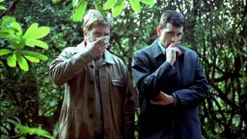 Zasłona do filmu "De zaak Alzheimer" #1878079