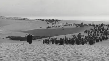 Zasłona do filmu "The Ten Commandments" #429423