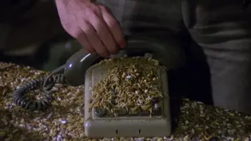 Zasłona do filmu "Miasto Żywej Śmierci" #999955